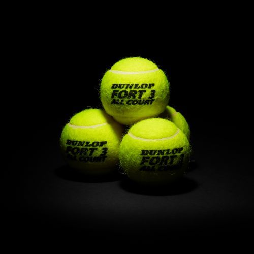 DUNLOP FORT ALL COURT TS